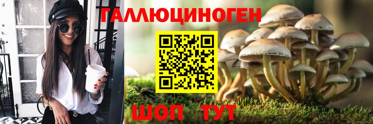 Псилоцибиновые грибы Psilocybine cubensis Кириши